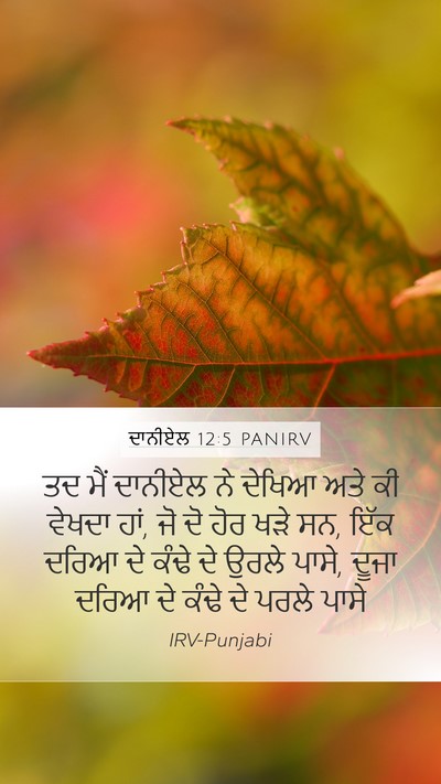 ਦਾਨੀਏਲ 12:5 PANIRV Mobile Phone Wallpaper - ਤਦ ਮੈਂ ਦਾਨੀਏਲ ਨੇ - Mobile Bible Verse Wallpaper
