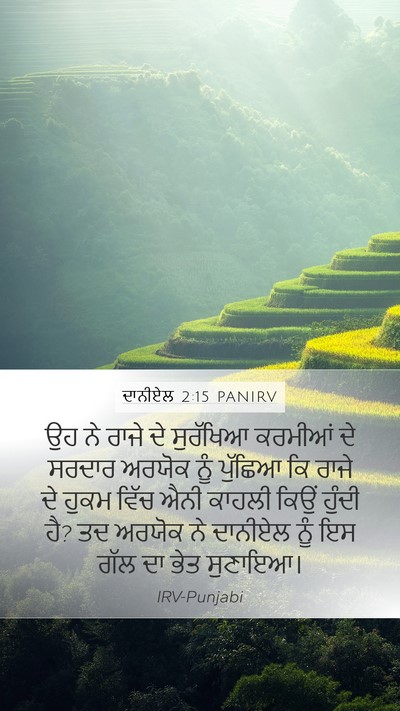 ਦਾਨੀਏਲ 2:15 PANIRV Bible Verse Image