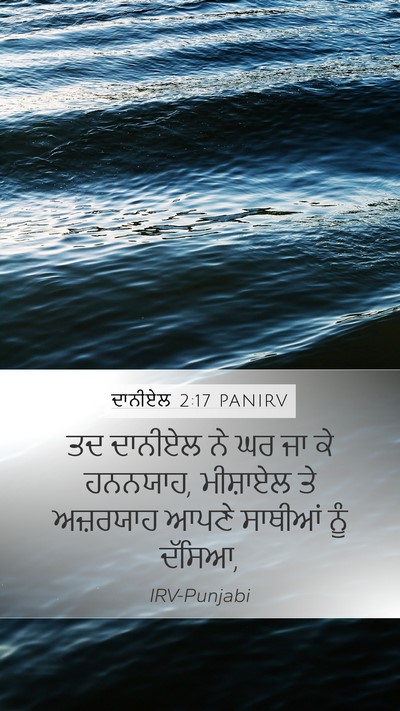 ਦਾਨੀਏਲ 2:17 PANIRV Bible Verse Image