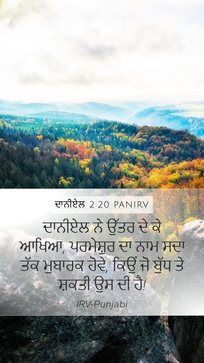 ਦਾਨੀਏਲ 2:20 PANIRV Bible Verse Image