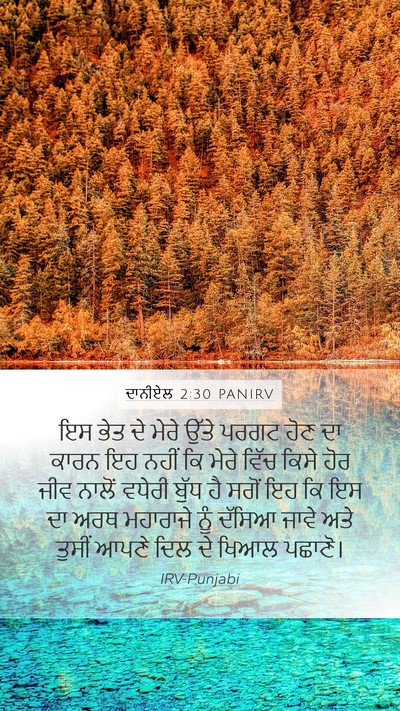ਦਾਨੀਏਲ 2:30 PANIRV Bible Verse Image