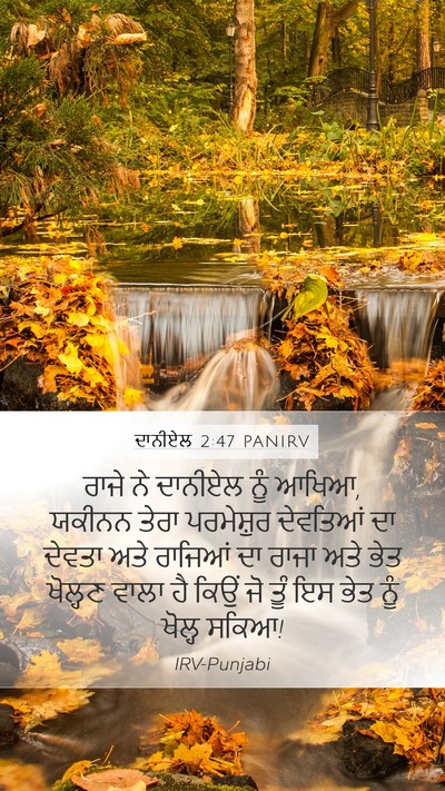 ਦਾਨੀਏਲ 2:47 PANIRV Bible Verse Image