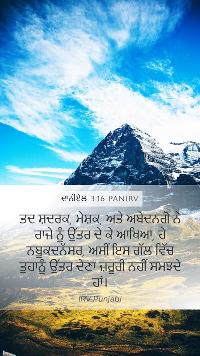 ਦਾਨੀਏਲ 3:16 PANIRV Bible Verse Image