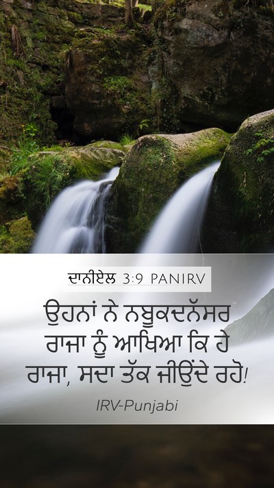 ਦਾਨੀਏਲ 3:9 PANIRV Bible Verse Image