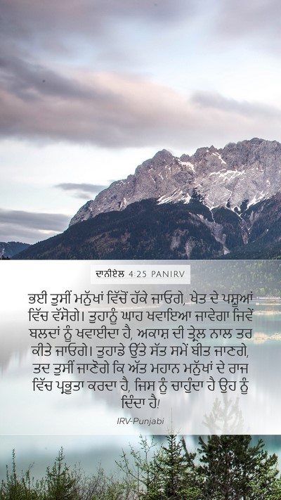 ਦਾਨੀਏਲ 4:25 PANIRV Bible Verse Image
