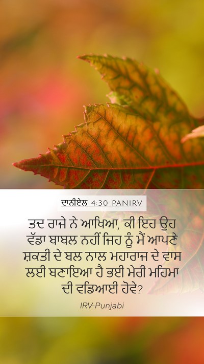 ਦਾਨੀਏਲ 4:30 PANIRV Bible Verse Image