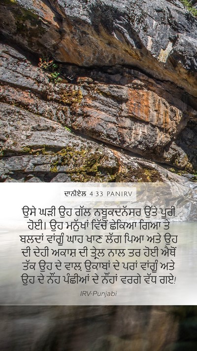 ਦਾਨੀਏਲ 4:33 PANIRV Bible Verse Image