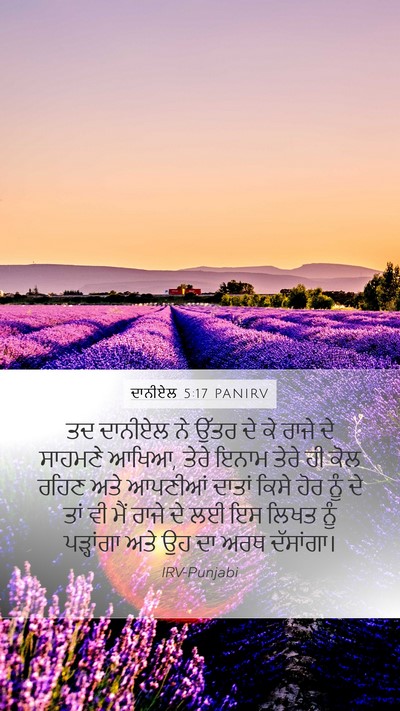 ਦਾਨੀਏਲ 5:17 PANIRV Bible Verse Image