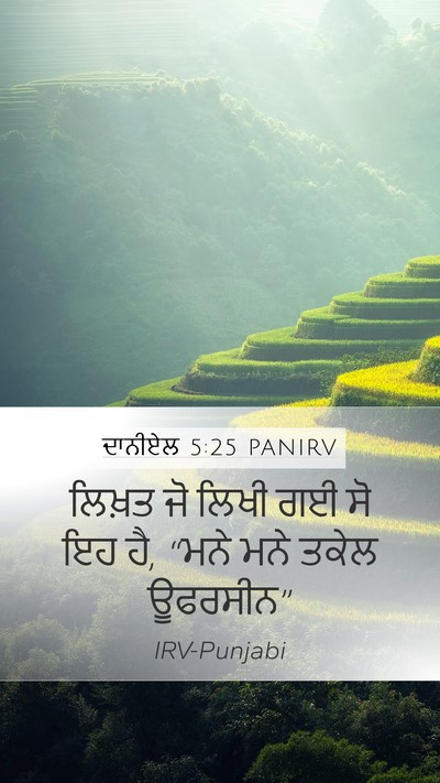 ਦਾਨੀਏਲ 5:25 PANIRV Bible Verse Image