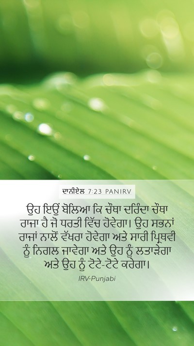 ਦਾਨੀਏਲ 7:23 PANIRV Bible Verse Image