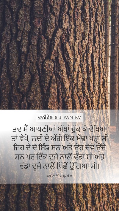 ਦਾਨੀਏਲ 8:3 PANIRV Bible Verse Image