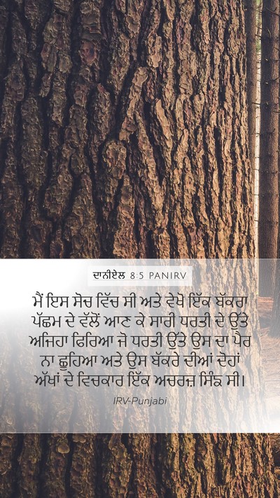 ਦਾਨੀਏਲ 8:5 PANIRV Bible Verse Image