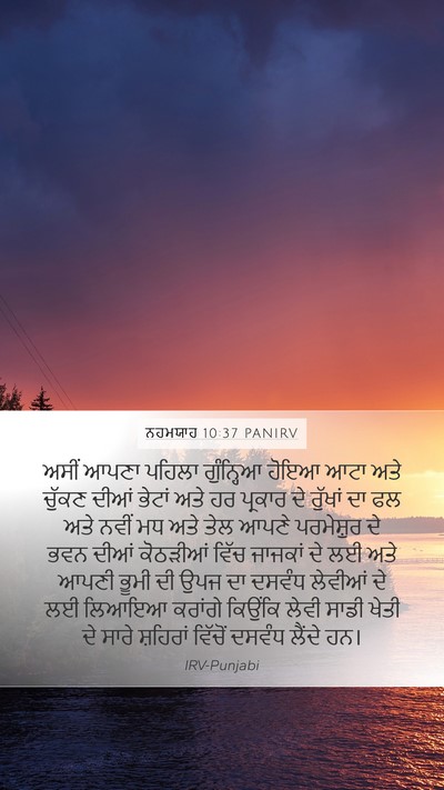 ਨਹਮਯਾਹ 10:37 PANIRV Bible Verse Image