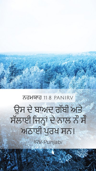 ਨਹਮਯਾਹ 11:8 PANIRV Mobile Phone Wallpaper - ਉਸ ਦੇ ਬਾਅਦ ਗੱਬੀ ਅਤੇ - Mobile Bible Verse Wallpaper
