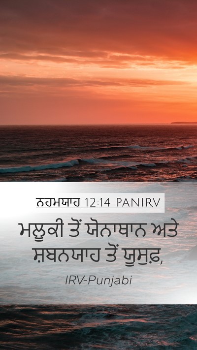 ਨਹਮਯਾਹ 12:14 PANIRV Mobile Phone Wallpaper - ਮਲੂਕੀ ਤੋਂ ਯੋਨਾਥਾਨ - Mobile Bible Verse Wallpaper