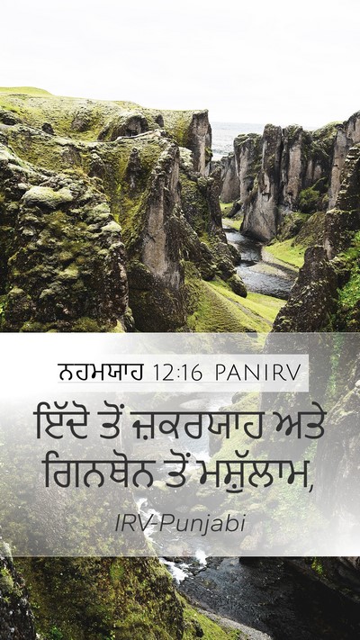 ਨਹਮਯਾਹ 12:16 PANIRV Bible Verse Image