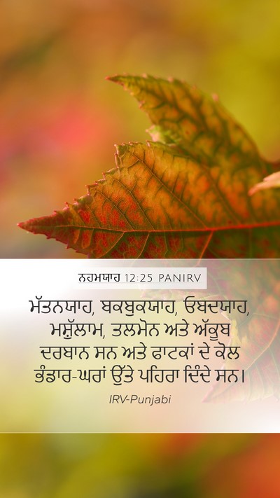 ਨਹਮਯਾਹ 12:25 PANIRV Bible Verse Image