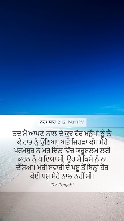ਨਹਮਯਾਹ 2:12 PANIRV Bible Verse Image