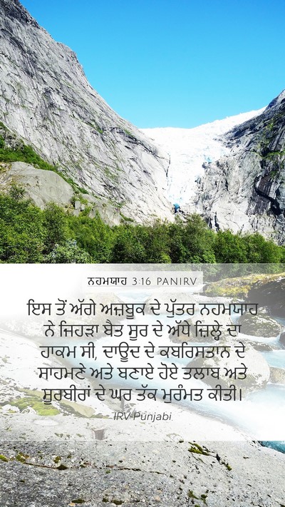 ਨਹਮਯਾਹ 3:16 PANIRV Bible Verse Image