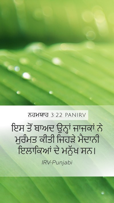 ਨਹਮਯਾਹ 3:22 PANIRV Mobile Phone Wallpaper - ਇਸ ਤੋਂ ਬਾਅਦ ਉਨ੍ਹਾਂ - Mobile Bible Verse Wallpaper