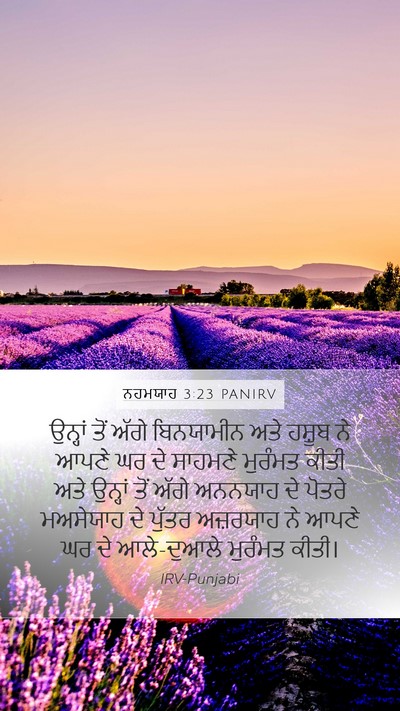 ਨਹਮਯਾਹ 3:23 PANIRV Bible Verse Image