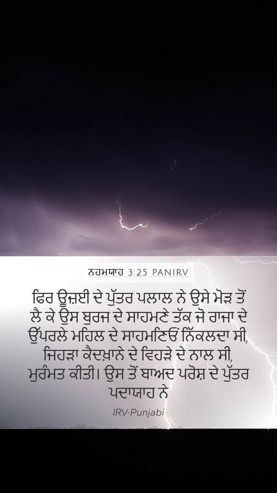 ਨਹਮਯਾਹ 3:25 PANIRV Bible Verse Image
