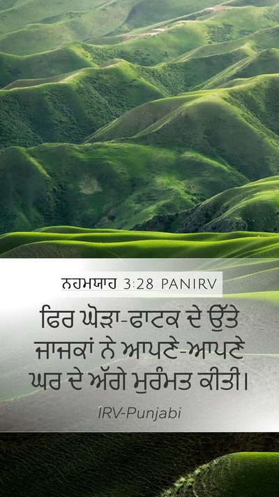 ਨਹਮਯਾਹ 3:28 PANIRV Bible Verse Image
