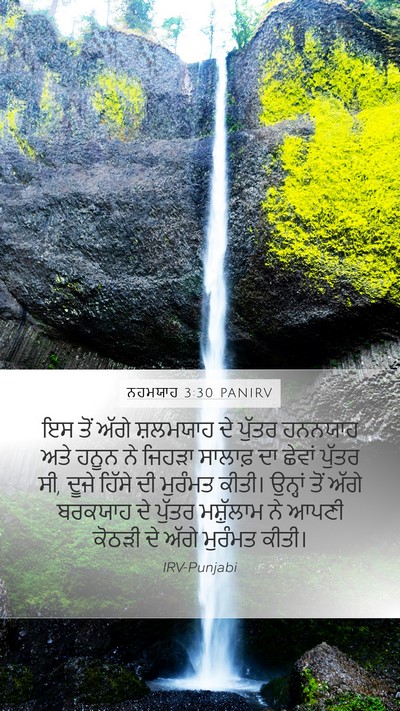 ਨਹਮਯਾਹ 3:30 PANIRV Bible Verse Image