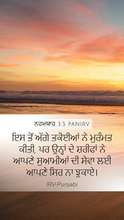 ਨਹਮਯਾਹ 3:5 PANIRV Bible Verse Image