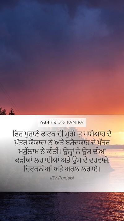 ਨਹਮਯਾਹ 3:6 PANIRV Bible Verse Image