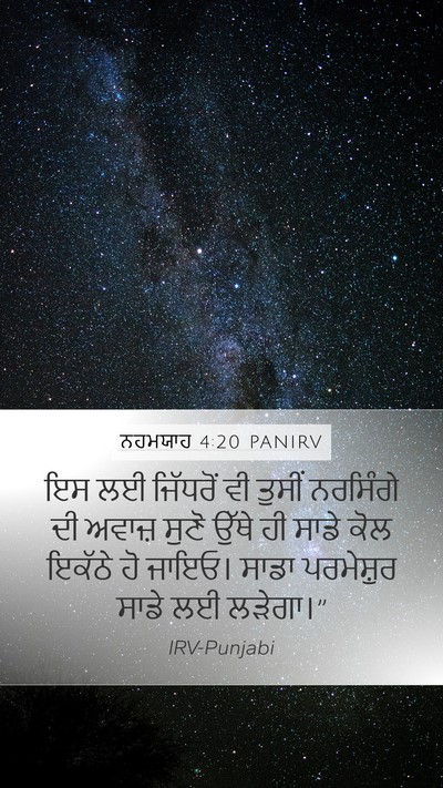 ਨਹਮਯਾਹ 4:20 PANIRV Bible Verse Image
