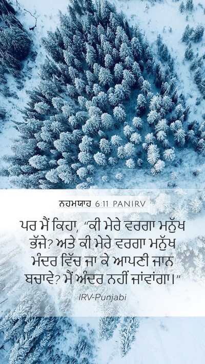 ਨਹਮਯਾਹ 6:11 PANIRV Bible Verse Image