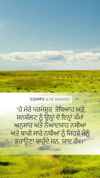 ਨਹਮਯਾਹ 6:14 PANIRV Bible Verse Image