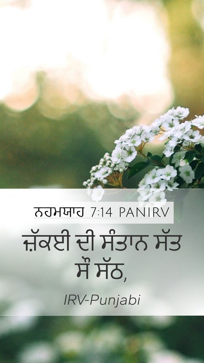 ਨਹਮਯਾਹ 7:14 PANIRV Mobile Phone Wallpaper - ਜ਼ੱਕਈ ਦੀ ਸੰਤਾਨ ਸੱਤ - Mobile Bible Verse Wallpaper