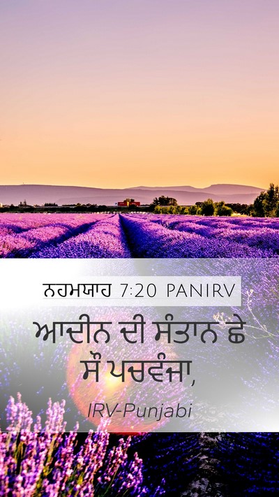 ਨਹਮਯਾਹ 7:20 PANIRV Mobile Phone Wallpaper - ਆਦੀਨ ਦੀ ਸੰਤਾਨ ਛੇ ਸੌ - Mobile Bible Verse Wallpaper