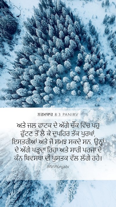 ਨਹਮਯਾਹ 8:3 PANIRV Bible Verse Image