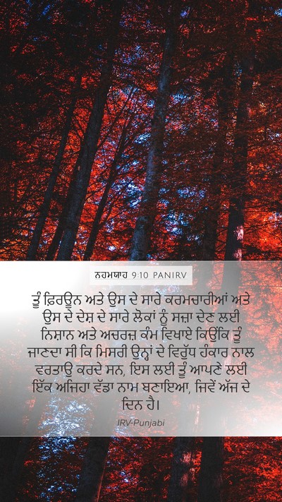 ਨਹਮਯਾਹ 9:10 PANIRV Bible Verse Image