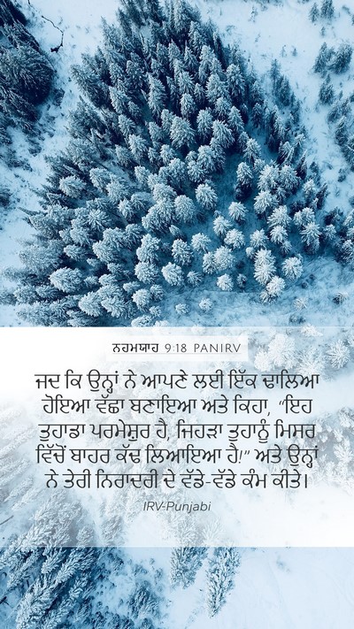 ਨਹਮਯਾਹ 9:18 PANIRV Bible Verse Image