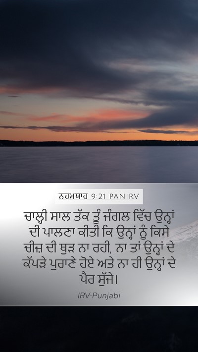 ਨਹਮਯਾਹ 9:21 PANIRV Bible Verse Image