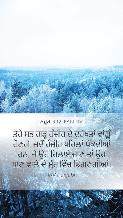 ਨਹੂਮ 3:12 PANIRV Bible Verse Image
