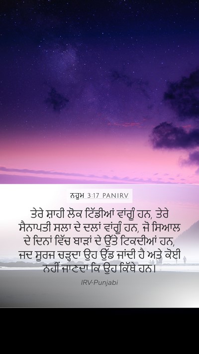 ਨਹੂਮ 3:17 PANIRV Bible Verse Image