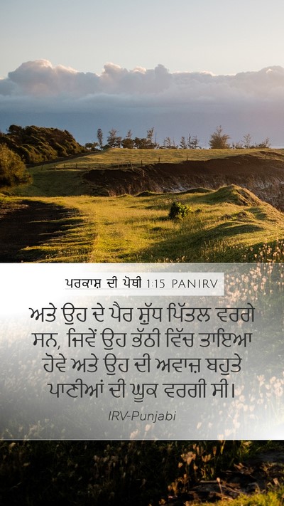 ਪਰਕਾਸ਼ ਦੀ ਪੋਥੀ 1:15 PANIRV Bible Verse Image