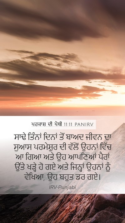 ਪਰਕਾਸ਼ ਦੀ ਪੋਥੀ 11:11 PANIRV Bible Verse Image