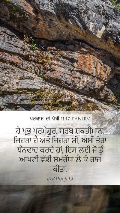 ਪਰਕਾਸ਼ ਦੀ ਪੋਥੀ 11:17 PANIRV Bible Verse Image