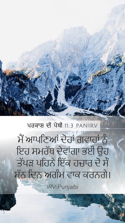 ਪਰਕਾਸ਼ ਦੀ ਪੋਥੀ 11:3 PANIRV Bible Verse Image