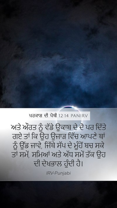 ਪਰਕਾਸ਼ ਦੀ ਪੋਥੀ 12:14 PANIRV Bible Verse Image