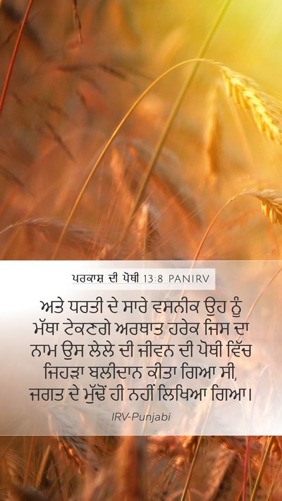 ਪਰਕਾਸ਼ ਦੀ ਪੋਥੀ 13:8 PANIRV Bible Verse Image