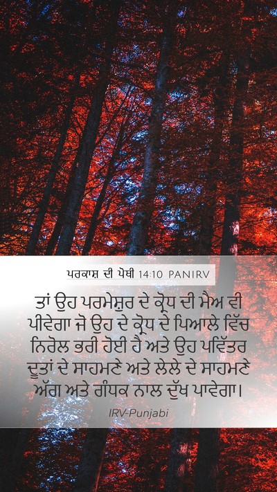 ਪਰਕਾਸ਼ ਦੀ ਪੋਥੀ 14:10 PANIRV Bible Verse Image