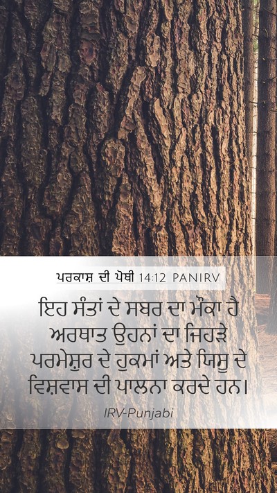ਪਰਕਾਸ਼ ਦੀ ਪੋਥੀ 14:12 PANIRV Bible Verse Image
