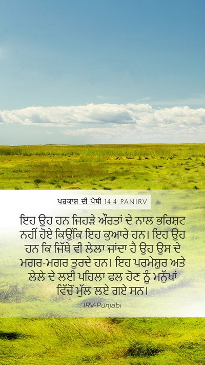 ਪਰਕਾਸ਼ ਦੀ ਪੋਥੀ 14:4 PANIRV Bible Verse Image